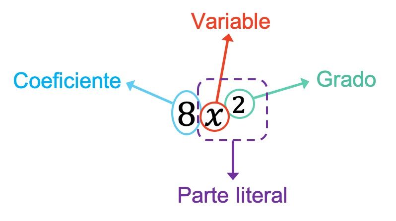 calculadora de monomios