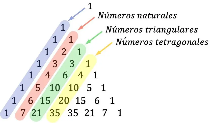 triangulo de tartaglia o pascal numeros triangulares y tetragonales