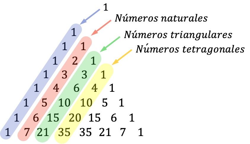 triangulo de tartaglia o pascal numeros triangulares y tetragonales