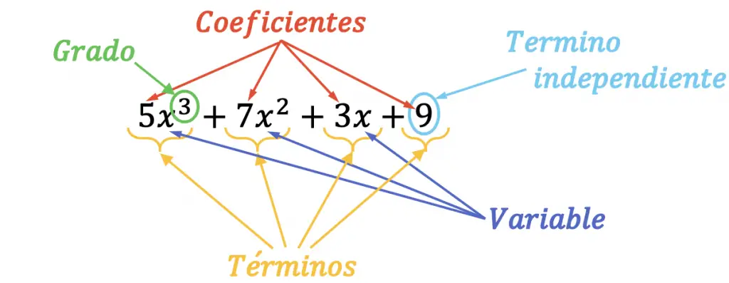 cuales son todas las partes de un polinomio