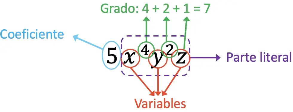 ejercicios resueltos paso a paso de monomios